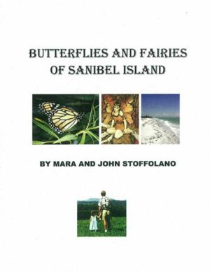 Butterflies and Fairies of Sanibel Island