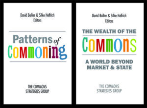 Patterns of Commoning/The Wealth of the Commons