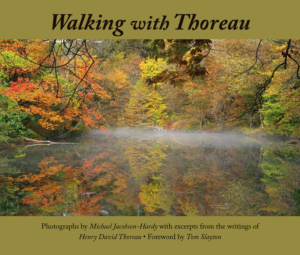 Walking_with_Thoreau