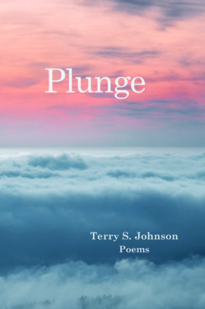 Plunge-cover