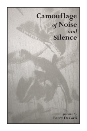 Camouflage of Noise and Silence