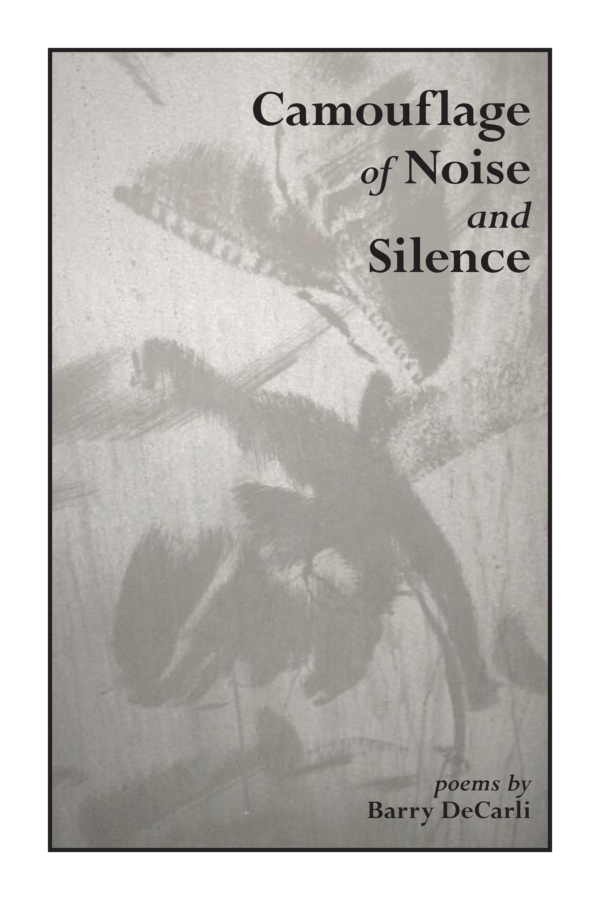 Camouflage of Noise and Silence