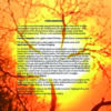 HUMANATURE: Elemental Pathways to Personal and Planetary Healing - Image 2