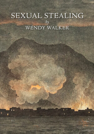 Sexual Stealing by Wendy Walker front cover drawing of a Pueblo fire at night in front of a mountain.